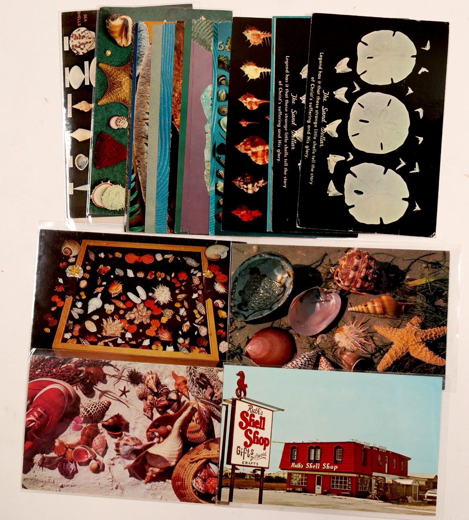 Shell Postcards Historical Seashell Postcards (104974)