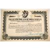 Image 1 : Zenith Tire and Rubber Stock   (79378)