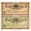 Image 1 : Silver Nugget Mining Stocks, 2 Different   (105496)