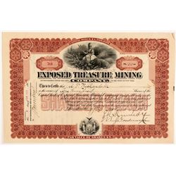 Exposed Treasure Mining Company Stock Cert.   (106659)