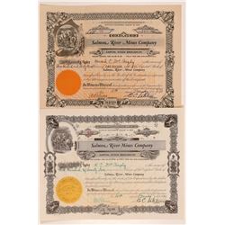 Salmon River Mines Company Stock Certificates   (107251)