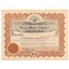 Image 1 : Victor Mining Company Stock Certificate   (107223)