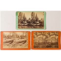 Yosemite Stereoview Collection: Moulton   (50674)