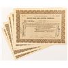 Image 1 : Shasta Zinc and Copper Company Stock Certificates   (51760)