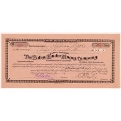 Bates-Hunter Mining Company Stock Certificate   (107169)