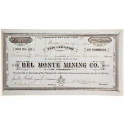 Del Monte Mining Company of Colorado Stock   (89464)