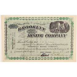 Brooklyn Mining Company Stock Certificate    (107159)