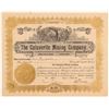 Image 1 : Calaverite Mining Company Stock Certificate   (107170)