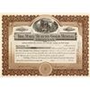 Image 1 : Mary Murphy Gold Mining Stock   (72075)