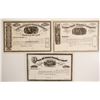 Image 1 : Three unissued Colorado Stocks   (87932)