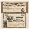 Image 1 : Two Unissued, Pristine Colorado Mining Stocks   (86740)