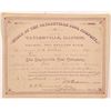Image 1 : Taylorville Coal Company Stock Certificate   (104290)