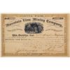 Image 1 : Mountain View Mining Stock   (72056)