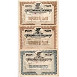 Raven Copper Company Stock Certificates   (104286)