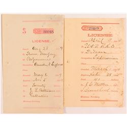 License Receipts for Expressmen Occupation, Montana 1884   (50631)