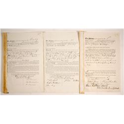 Mining Sale Documents, Manhattan Silver Mining Co.   (77609)