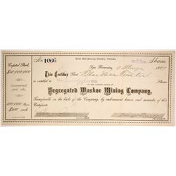 Segregated Washoe Mining Company   (86503)