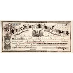 Phenix Silver Mining Co   (86542)