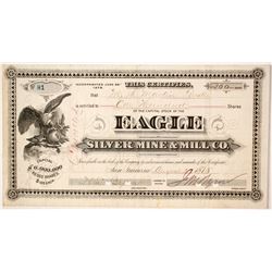 Eagle Silver Mine & Mill Company Stock   (85255)