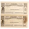 Image 1 : Original Hidden Treasure Mining Company   (88110)