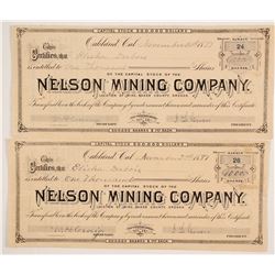 Nelson Mining Company Stocks   (86164)