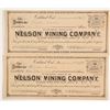 Image 1 : Nelson Mining Company Stocks   (86164)