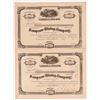 Image 1 : Sampson Mining Company Stock Certificates   (107204)