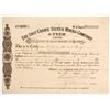 Image 1 : Last Chance Silver Mining Company of Utah Limited' Stock   (88041)