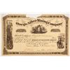 Image 1 : Otsego Silver Mining Company Stock   (86747)