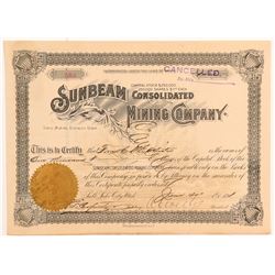 Sunbeam Consolidated Mining Company Stock Certificate   (107213)