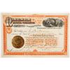 Image 1 : Niagara Mining and Smelting Company Stock   (86745)