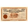Image 1 : Kate Hayward Gold Mining Company Stock Certificate   (107096)