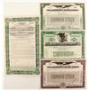 Image 1 : Alkali  company stock / bond   (87221)