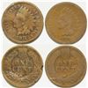 Image 1 : Indian Head Pennies / 2 Items.    (102157)