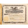 Image 1 : Paducah & Illinois Railroad Stock   (84219)
