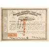 Image 1 : Boston, Newport & New York Steamboat Co. Stock Certificate   (79060)
