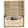 Image 1 : Louisiana and Missouri River Railroad Co. Stock Certificates   (107381)