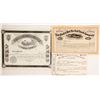 Image 1 : Unissued New York/New Jersey RR stock   (87071)