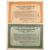 Image 1 : Lackawanna and Wyoming Valley Railroad Stocks (2)   (84971)