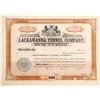 Image 1 : Lackawanna Tunnel Stock   (85124)