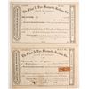Image 1 : Flint & Pere Marquette Railway Co Stock   (75840)
