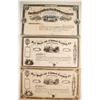 Image 1 : Fort Wayne and Elmwood Railway Company stock   (75827)