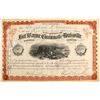 Image 1 : Fort Wayne, Cincinnati and Louisville Railroad Co   (75823)