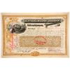 Image 1 : Pittsburgh, McKeesport and Youghiogheny Railroad Company Stock   (88045)