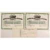 Image 1 : Boston and Philadelphia Steamship Co Stocks (2)   (83361)
