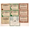 Image 1 : Miscellaneous Auto Stock Certificates   (104420)