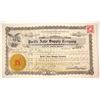 Image 1 : Pacific Auto Supply Stock   (79854)