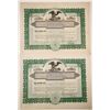 Image 1 : Springfield Transportation Co. Stock (2)   (79828)