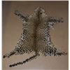 Image 1 : Leopard Skin