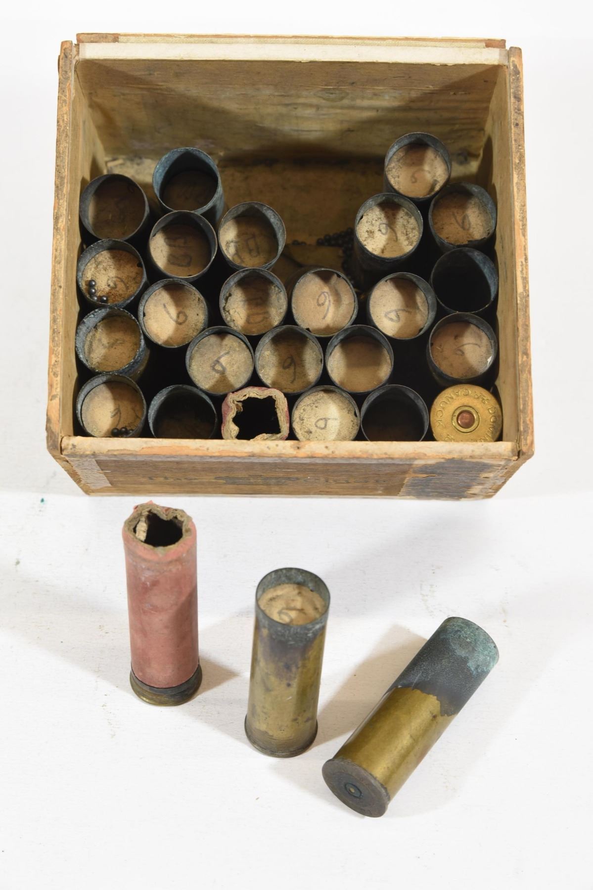 Brass Vintage 10 Ga. Brass Shotgun Shells